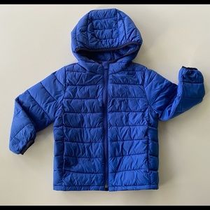 Blue Gap Toddler Puffer Jacket